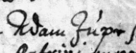 Adam Jupe 16555